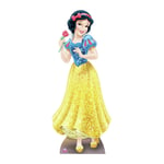 Disney Princess Star Cutouts Snow White Cardboard