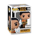 Funko Pop! & Buddy: Rebels - Ezra with Loth Cat - Star Wars: Rebels - Exclusivité Amazon - Figurine en Vinyle à Collectionner - Idée de Cadeau - Produits Officiels - Movies Fans