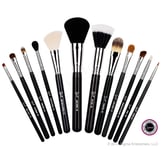 Sigma Beauty Essential Kit Professional Brush Collection