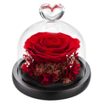 DuHouse Forever Roses Preserved Real Flowers Eternal Enchanted Rose Flower Box Unique Gift for Valentines Birthday Anniversary Mother's Day Christmas(Red)