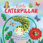 Little Caterpillar (An illustrated story about the life-cycle of a caterpillar)