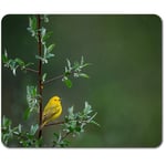 Rectangle Mouse Mat  - Little Yellow Bird Tree Rain Nature  #45583