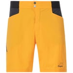 Bergans of Norway Y LightLine Vapor Shorts Men