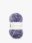 West Yorkshire Spinners Signature 4 Ply Yarn, 100g