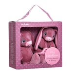 My Teddy Giftbox - Snuttefilt & liten kanin - Rosa (28-NBPG-1)