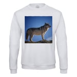 Sweat Shirt Homme Loup Photo Nature Animal Sauvage Ciel Bleu