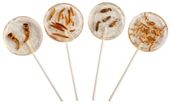 Crunchy Critters edible insects bugs lollipops x 4