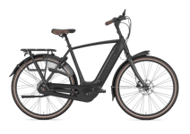 Gazelle Arroyo C8 HMB Elite 500Wh 61