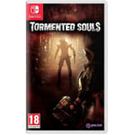 Nsw Tormented Souls  (code In A Box)