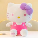 Sanrio Hello Kitty Kuromi Melody Stuffed Toys Cute Plush Cinnamoroll Toys Kawaii