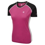 Dare 2b T-Shirt en Laine FIXATE T-Shirts/Polos/Vests Femme Active Pink/Black FR : XS (Taille Fabricant : 8)
