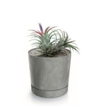 Botle Pot De Fleur Rond Gris Clair Plastique Beton Effect Cache Pot 14,7 Cm Decoratif Bac A Plantes Avec Soucoupe Fleurs