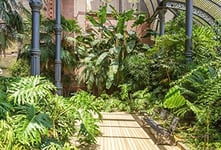 Scenolia Papier Peint Intissé Jardin Tropical Végétation Barcelone 4 x 2,70m - Décoration Effet Trompe l’Oeil - Revêtement Panoramique Mural - Pose Facile et Qualité HD