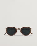 Eyevan 7285 797 Sunglasses Tortoise