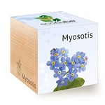 Feel Green Ecocube Myosotis (Forget-Me-Not), Idée Cadeau (100% Ecologique), Grow-Your-Own/Kit Prêt-à-Pousser, Plantes Dans Des Cubes En Bois 7.5cm, Produit En Autriche