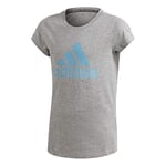 adidas Garçon Entrada 18 Jsy T Shirt, Gris Chiné/Cyan, S-XL EU