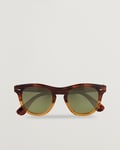 Oliver Peoples 0OV5509SU Rorke Sunglasses Amber