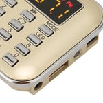 Digital Radio Radio Subwoofer Card MP3 Player Bass Speaker For Senior(Gold ) BST