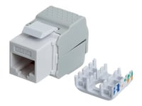 Intellinet Keystone Jack, Cat6, Utp, Toolless, White - Trapetsjack - Cat 6 - Stp - Vit - 1 Port