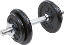 Dumbbell Eb Fit Cast Iron 1 X 10 Kg