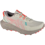 Chaussures Asics  Gel-Excite Trail 2