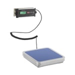 Steinberg Systems Pakkevekt - 30 kg / 0,01 31,5 x 32,5 cm ekstern LCD