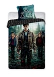 Faro lasten Pussilakana setti Harry Potter, 160x200, 2 osaa