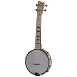 VGS Banjo Ukulele Manoa B-CO-M