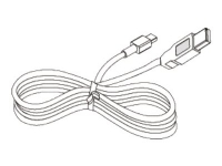 Citizen - Skrivarkabel - mini-USB typ B (hane) till USB (hane) - för Citizen CMP-20, CMP-30