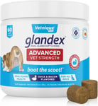 Glandex Anal Gland Soft Chew Treats with Pumpkin for Dogs Digestive Enzymes, for