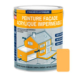 Peinture façade PROCOM crépi, façade à relief, imperméabilisation et protection des façades - Durable jusqu'à 10 ans 2.5 litres Jaune (RAL 075 80 50)