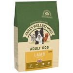 Ekonomipack: 2 x 10/12 kg James Wellbeloved hundfoder - Adult Lamb & Rice (2 x 12 kg)