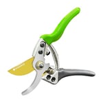 SYEONKOS Secateurs, Secateurs & Pruning Scissors, 8 Inch Garden Secateurs, Pruning Shears, Titanium Steel Gardening Scissors, Green Gray (SJ-3)