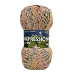 Stylecraft 3315407 Impressions End of Summer (5407) Pelote de laine 100 g