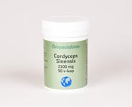 Cordyceps sisensis 2100mg 50vk - Örtspecialisten