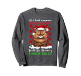 If I Had Anymore Christmas Spirit Jingle Bell Cat Christmas Sweatshirt