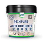 Peinture anti-humidité 14 L, MURS ET PLAFONDS, BLANC MAT, APPLICATION FACILE, Isolant BRICOSALVAJE