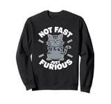 Not Fast Just Furious Cat Owner Cats for a Cat Lover Sweatshirt