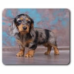 Computer Mouse Mat - Cute Dachshund Puppy Dog Fun Office Gift #2019