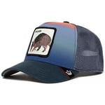 Casquette Goorin Bros  Casquette