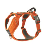 Dog Copenhagen Comfort Walk Pro Harness Orange Sun 2024 - XS