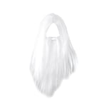 Bristol Novelty Mens Long Wizard Wig And Beard - One Size