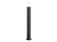 Trio 424060142 Luminaire, Aluminium Plastique, Anthracite