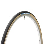 Panaracer Pasela Protite Wire Bead Pneu, Mixte, Noir