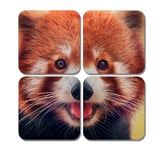 4 x Square Red Panda Coasters - Wild Cute Lesser Animals Face Jigsaw Gift #78352