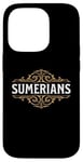 Coque pour iPhone 14 Pro Sumériens Ancienne civilisation de la Mésopotamie Sumer