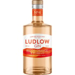 Ludlow Blood Orange & Pomelo Gin 70cl