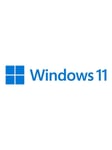 Microsoft Windows 11 Pro