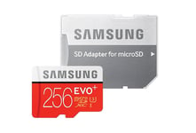Samsung EVO Plus Carte mémoire 256 Go - Classe 10 avec adaptateur SD MicroSDXC UHS-I