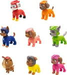 P.M.I. Paw Patrol: The Mighty Movie - 3D Puzzle Eraser 1 Pack Figure Blind Box (5cm) (Random) (PAWM1210)